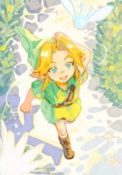 link from the legend of zelda