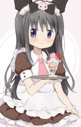 akemi homura from mahou shoujo madoka magica by hitode