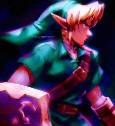 link from the legend of zelda