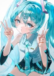 hatsune miku from vocaloid