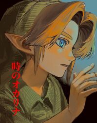 link from the legend of zelda