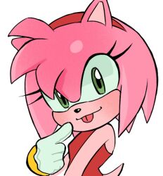 amy rose from sonic (series)