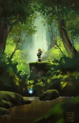 link from the legend of zelda