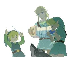 link from the legend of zelda