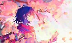 kris (dark world) (deltarune) from deltarune by nebbeli