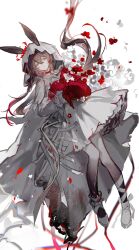amiya (arknights) from arknights