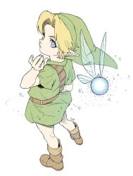 link from the legend of zelda by tnp