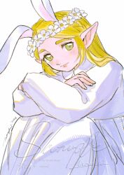 princess zelda from the legend of zelda by mouyi