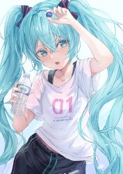 hatsune miku from vocaloid