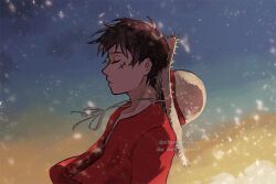 monkey d. luffy from one piece