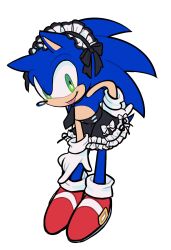 sonic the hedgehog from sonic (series)