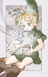 link from the legend of zelda