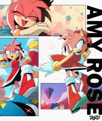 amy rose from sonic (series)