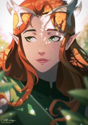 dungeons & dragons fan art