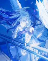 columbina (genshin impact) from genshin impact