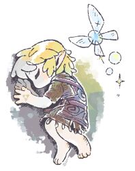 link from the legend of zelda