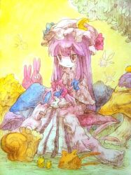 patchouli knowledge from touhou