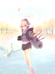 flower (gynoid talk) from gynoid talk