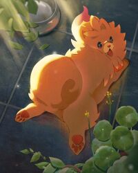 pombon from pokemon