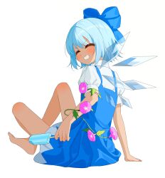 cirno from touhou