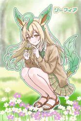 leafeon from pokemon