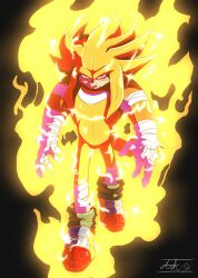 knuckles the echidna from dragon ball