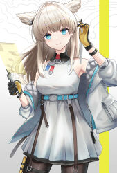 perlica (arknights) from arknights