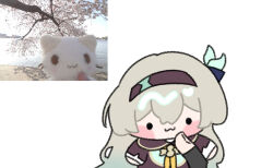 caelus (honkai: star rail) from honkai: star rail
