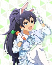 ganaha hibiki from idolmaster