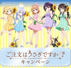 anko (gochiusa) from gochuumon wa usagi desu ka?