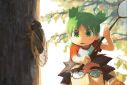 koiwai yotsuba from yotsubato!
