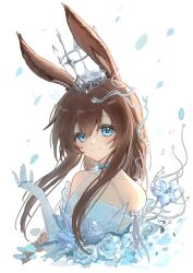 amiya (arknights) from ambience synesthesia
