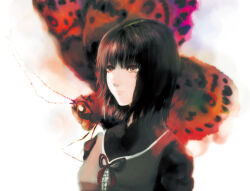 amakura mayu from fatal frame