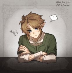link from the legend of zelda by isa-415810