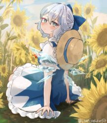 cirno from touhou