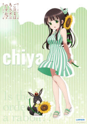 anko (gochiusa) from gochuumon wa usagi desu ka?