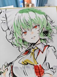 kazami yuuka from touhou