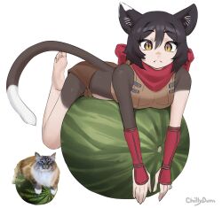 izutsumi from dungeon meshi
