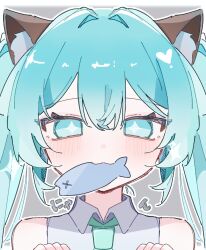 hatsune miku from vocaloid