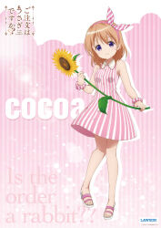 hoto cocoa from gochuumon wa usagi desu ka?