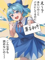 cirno from touhou