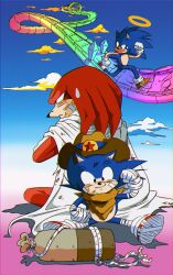 knuckles the echidna from dragon ball