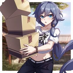 fu hua from honkai (series)