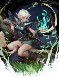 deedlit from record of lodoss war by melonplus