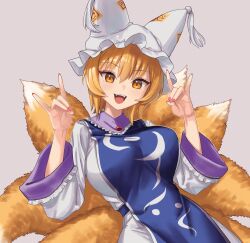 yakumo ran from touhou by toluda
