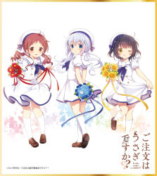 anko (gochiusa) from gochuumon wa usagi desu ka?