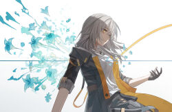 stelle (honkai: star rail) from honkai: star rail