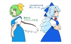 cirno from embodiment of scarlet devil by itatatata