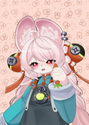 zhao (zenless zone zero) from zenless zone zero