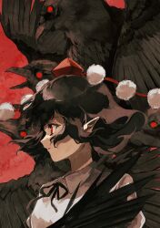 shameimaru aya from touhou